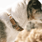 Carhartt P000344 Nylon Canvas Duck Dog Collar - DOG ACCESSORIES