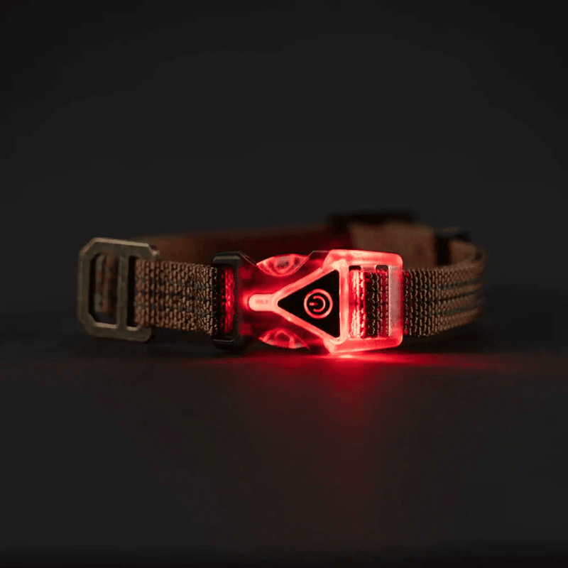 Carhartt P000345 Lighted Reflective Dog Collar - DOG ACCESSORIES