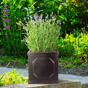 IDEALIST Lite Chelsea Flower Box Square Garden Planter, Faux Lead Light Stone Outdoor Plant Pot W22 H22 L22 cm, 11L - Home & Garden > Lawn & Garden > Gardening > Pots & Planters > Planters
