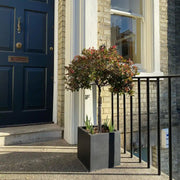 IDEALIST Lite Contemporary Flower Box Square Garden Planter, Light Concrete Outdoor Plant Pot H30 L30 W30 cm, 27L - Home & Garden > Lawn & Garden > Gardening > Pots & Planters > Planters