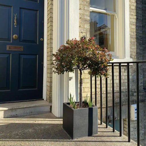 IDEALIST Lite Contemporary Flower Box Square Garden Planter, Light Concrete Outdoor Plant Pot H30 L30 W30 cm, 27L - Home & Garden > Lawn & Garden > Gardening > Pots & Planters > Planters