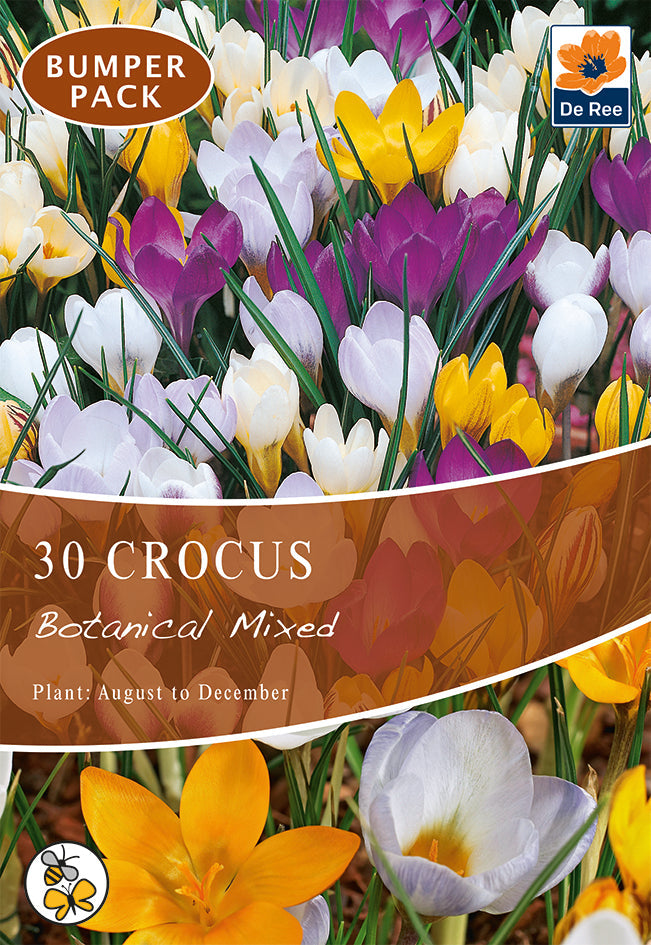 Crocus Botanical Mixed Bulbs (15/30 Bulbs) -