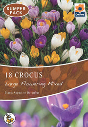 Crocus Large Flowering Mixed (15 Bulbs) -