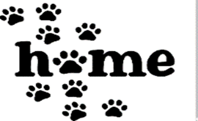 Doormat 60cm x 40cm - 'Home' (Paws) - Absorbent Coir Mat for Indoor/Outdoor - Home & Garden > Decor > Door Mats Garden watering