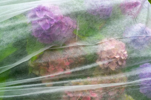 50g Non-Woven Weed Membrane 3.2m x 5m (Copy) - Home & Garden > Lawn & Garden Garden tools & Accesories