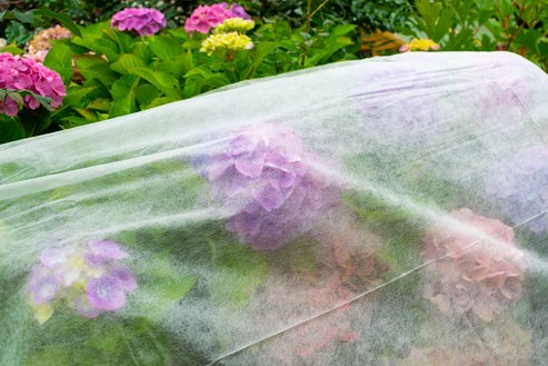 50g Non-Woven Weed Membrane 3.2m x 5m (Copy) - Home & Garden > Lawn & Garden Garden tools & Accesories