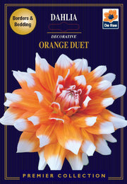 Dahlia Decorative | Orange Duet | 1 Tuber -