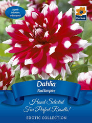 Dahlia Red Empire | Exotic Collection | 1 Tuber -