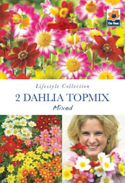 Dahlia Topmix (2 Tubers) -