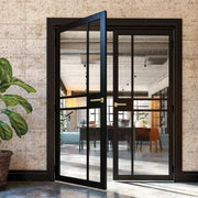 Modern black-framed glass door leading to a well-lit room with a plant on the left.