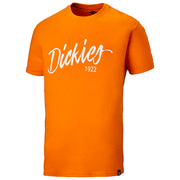 Dickies DT6012 22 Hanston Graphic T-Shirt Various Colours - T-SHIRTS