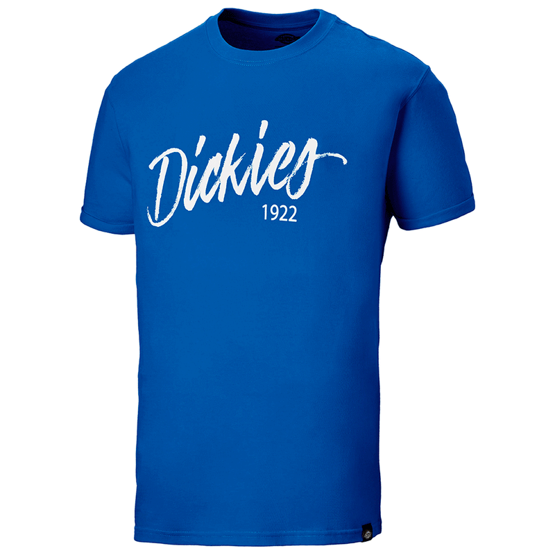 Dickies DT6012 22 Hanston Graphic T-Shirt Various Colours - T-SHIRTS