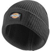 Dickies DT8003 22 Evadale Logo Beanie Various Colours - HEADWEAR