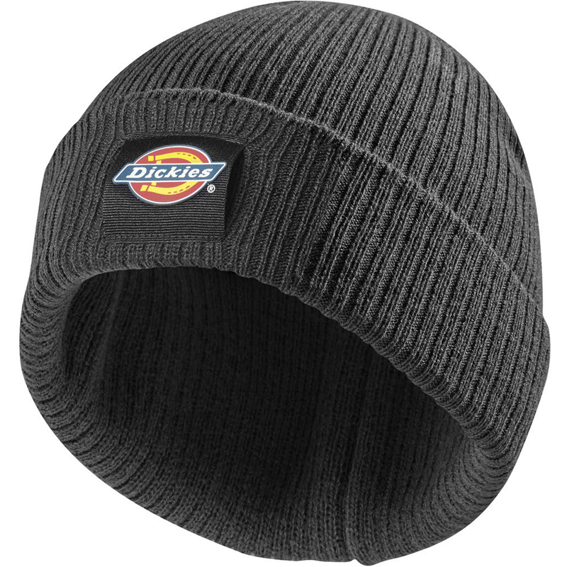 Dickies DT8003 22 Evadale Logo Beanie Various Colours - HEADWEAR