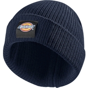 Dickies DT8003 22 Evadale Logo Beanie Various Colours - HEADWEAR