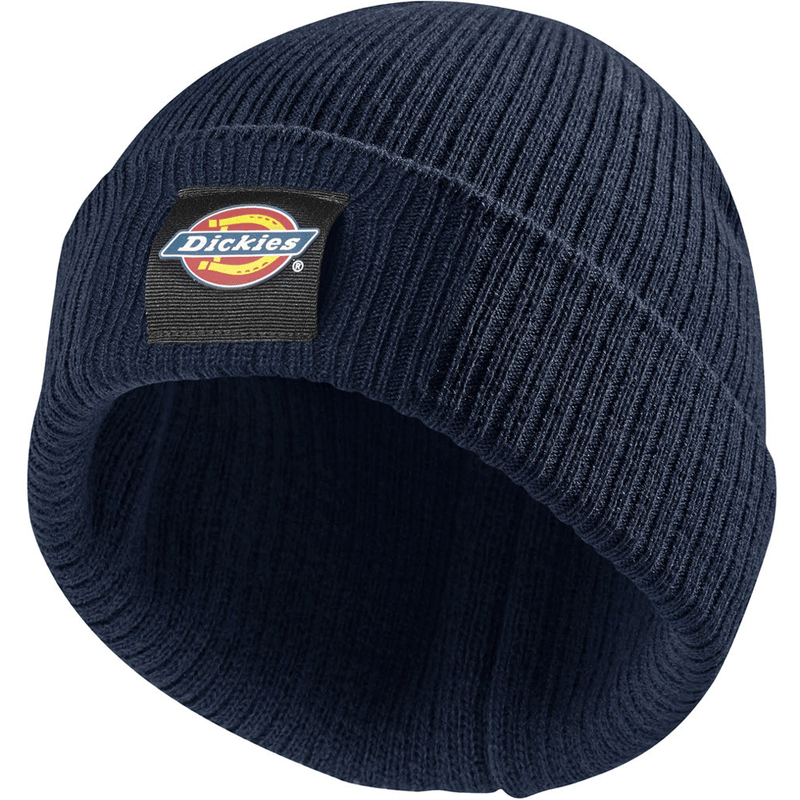 Dickies DT8003 22 Evadale Logo Beanie Various Colours - HEADWEAR