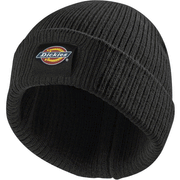 Dickies DT8003 22 Evadale Logo Beanie Various Colours - HEADWEAR