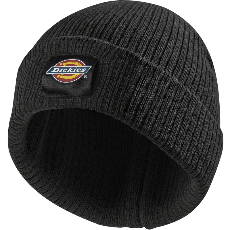 Dickies DT8003 22 Evadale Logo Beanie Various Colours - HEADWEAR