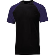 Dickies SH2007 Two Tone Work T-Shirt Various Colours - T-SHIRTS