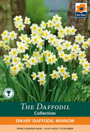 Dwarf Daffodil 'Minnow' (8/18 Bulbs) -