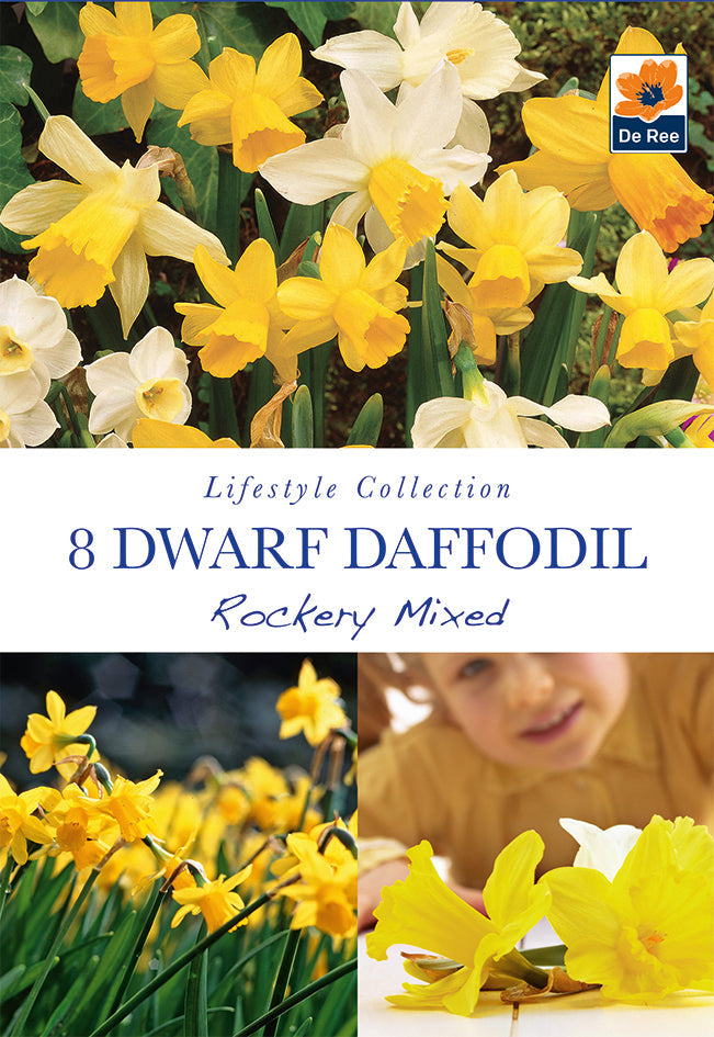 Dwarf Daffodil 'Rockery Mixed'(8 Bulbs) -