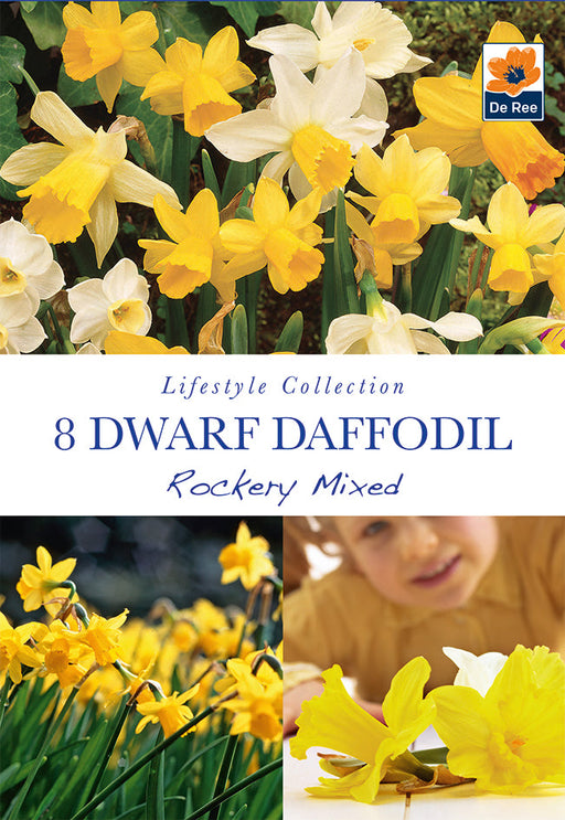 Dwarf Daffodil 'Rockery Mixed'(8 Bulbs) -