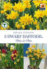 Tete a Tete Daffodil bulbs -
