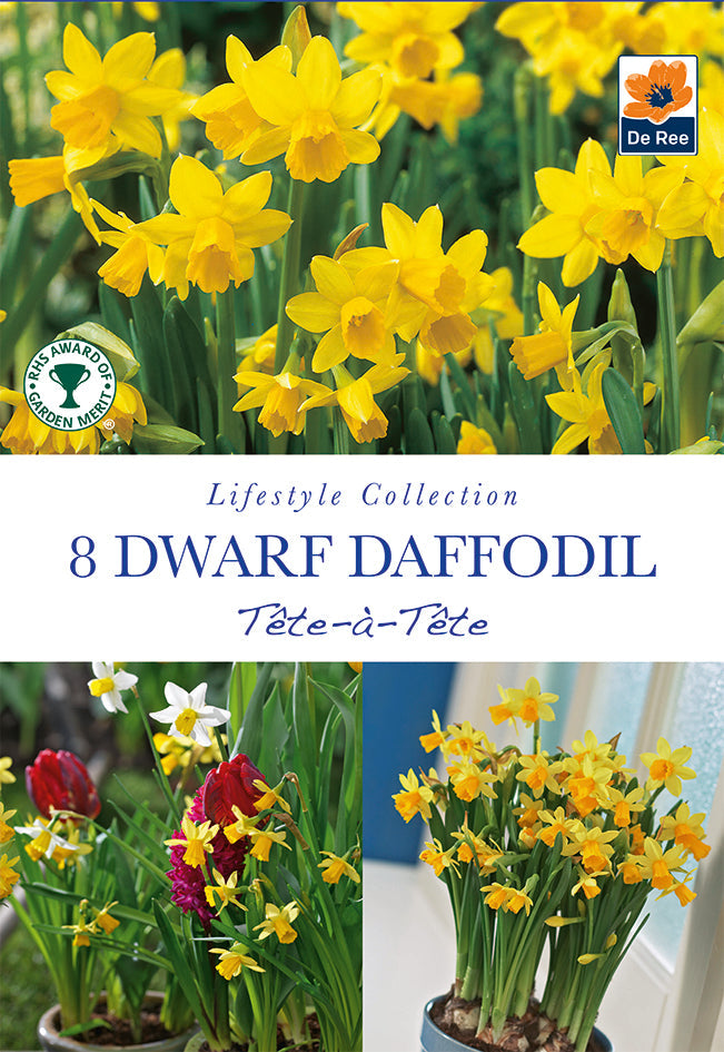Tete a Tete Daffodil bulbs -