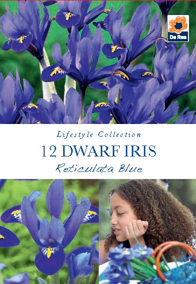 Dwarf Iris 'Reticulata Blue' (8 Bulbs) -