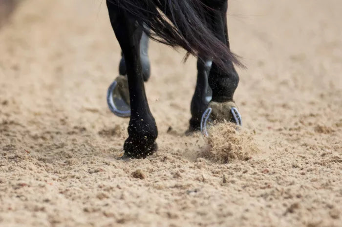 Equestrian Sand - Home & Garden > Lawn & Garden > Gardening > Sands & Soils > Sand Equestrian Sand