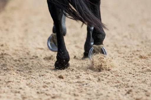 Equestrian Sand - Home & Garden > Lawn & Garden > Gardening > Sands & Soils > Sand Equestrian Sand