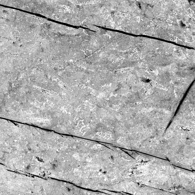 Bushboard Alloy Fossil Marble Aluminium Feature Kitchen Splashback