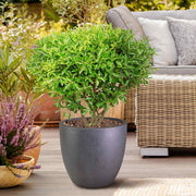 IDEALIST Lite 40cm Garden Planter | Washed Light Concrete Egg Round Planter | Contemporary Outdoor Plant Pot D40 H40 cm, 50L - Home & Garden > Lawn & Garden > Gardening > Pots & Planters > Planters