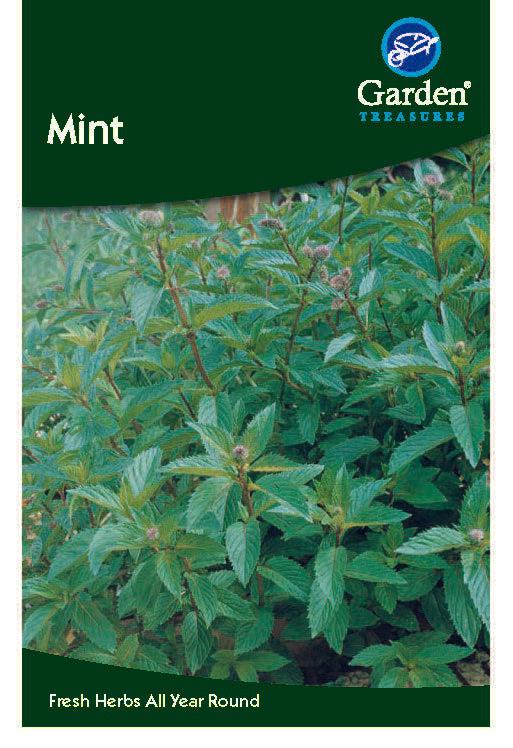 Mint Seeds -