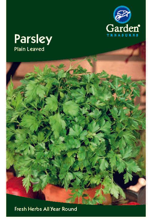 Parsley Plain Leaved Seeds -