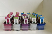 3 x 7cm Hyacinth -