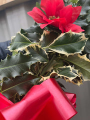 Real Holly Wreath | Hand Made Wreath (45cm)