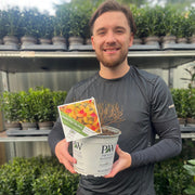 Spiraea Double Play 'Big Bang' 3L -