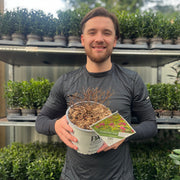 Spiraea Double Play 'Gold' 3L -