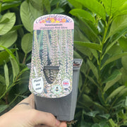 Veronicastrum virginanum Pink Glow 9cm Pot -