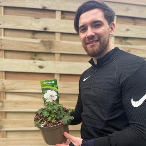 Geranium 'Biokovo' 9cm/2L -