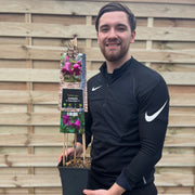 Clematis 'Queen Mother ' 75cm -