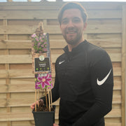 Clematis 'Doctor Ruppel' 70cm -