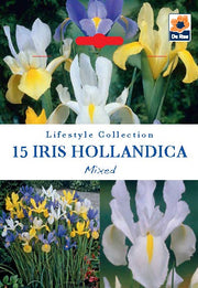 Iris Hollandica Bulbs Mix - Dutch Iris Bulbs (15 Bulbs) -