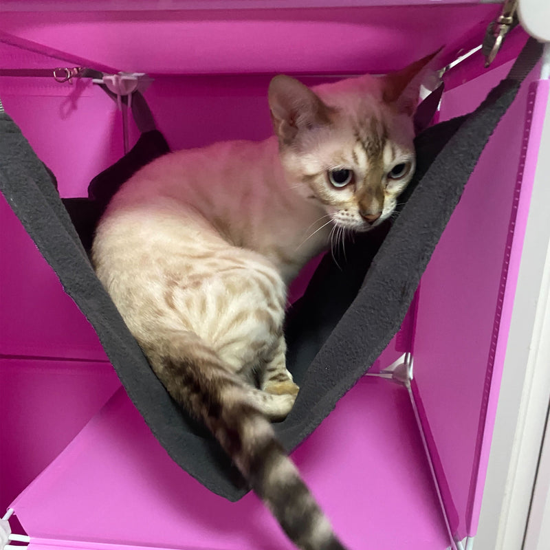 Kitty Cubby Cat Cube Play Tower MAXI - Animals & Pet Supplies > Pet Supplies > Cat Supplies PETS