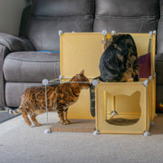 Kitty Cubby Cat Cube Play Tower MIDI - Animals & Pet Supplies > Pet Supplies > Cat Supplies PETS
