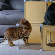 Kitty Cubby Cat Cube Play Tower MIDI - Animals & Pet Supplies > Pet Supplies > Cat Supplies PETS