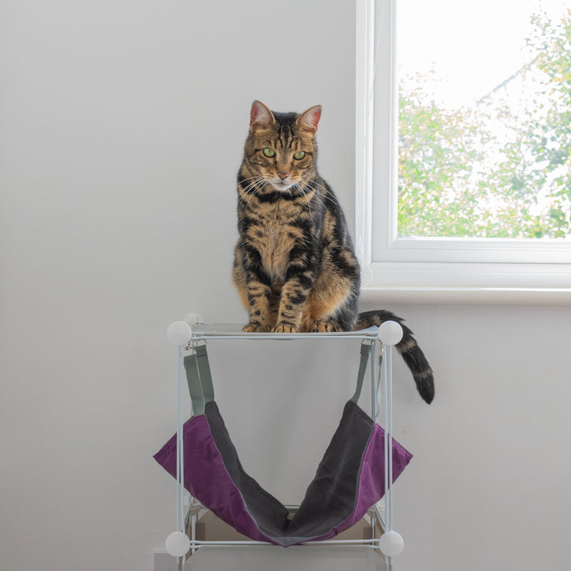 Kitty Cubby Cat Cube Play Tower MIDI - Animals & Pet Supplies > Pet Supplies > Cat Supplies PETS