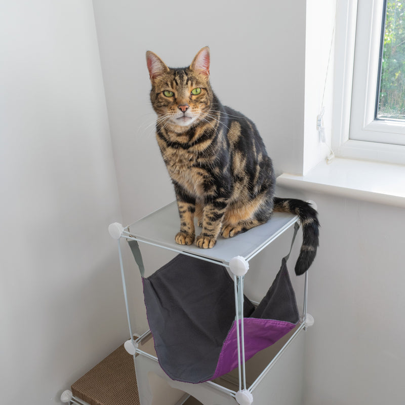 Kitty Cubby Cat Cube Play Tower MIDI - Animals & Pet Supplies > Pet Supplies > Cat Supplies PETS