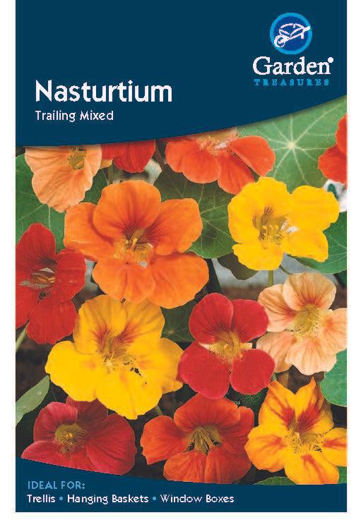 Nasturtium Trailing Mixed -